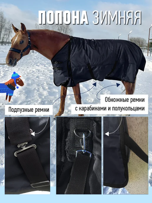 Конные сказки Попона зимняя прогулочная для лошади, черный, фото 5