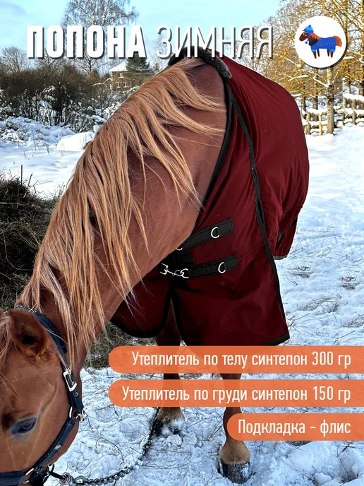Конные сказки Попона зимняя прогулочная для лошади, красный, фото 2