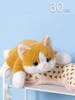 Мягкая игрушка кот плюшевый 595654939 купить за 740 ₽ в интернет‑магазине Wildberries
