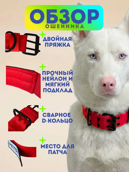 PETSTEP Ошейник для собак крупных и средних пород прочный черный, красный, фото 2