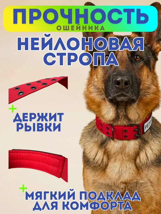 PETSTEP Ошейник для собак крупных и средних пород прочный черный, красный, фото 4