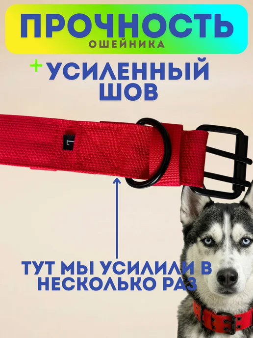 PETSTEP Ошейник для собак крупных и средних пород прочный черный, красный, фото 6