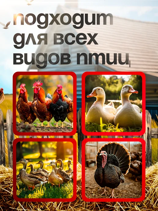 Перосъёмная машина для чистки перьев у уток, курей, белый, фото 4