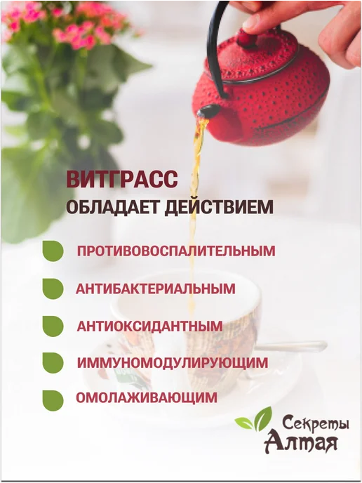 Секреты Алтая Витграсс порошок, вариант, фото 3