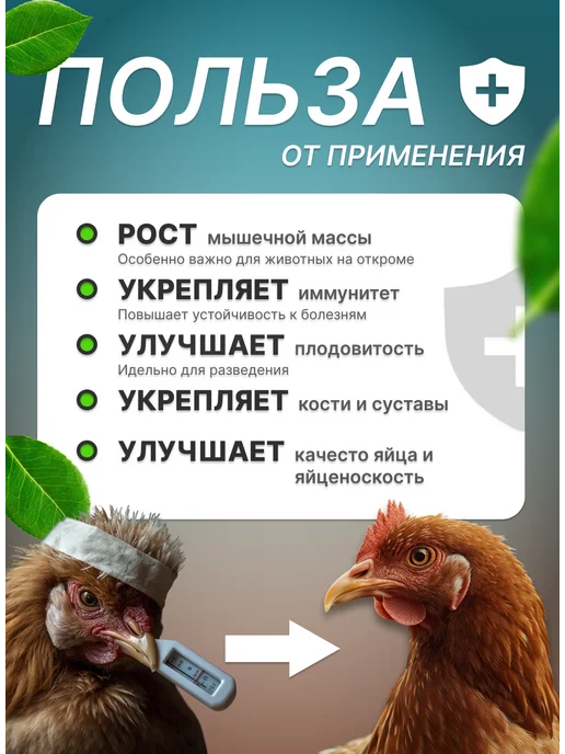 Рыбная мука для куриц 58% и др животных 10 кг, 10 кг, фото 2