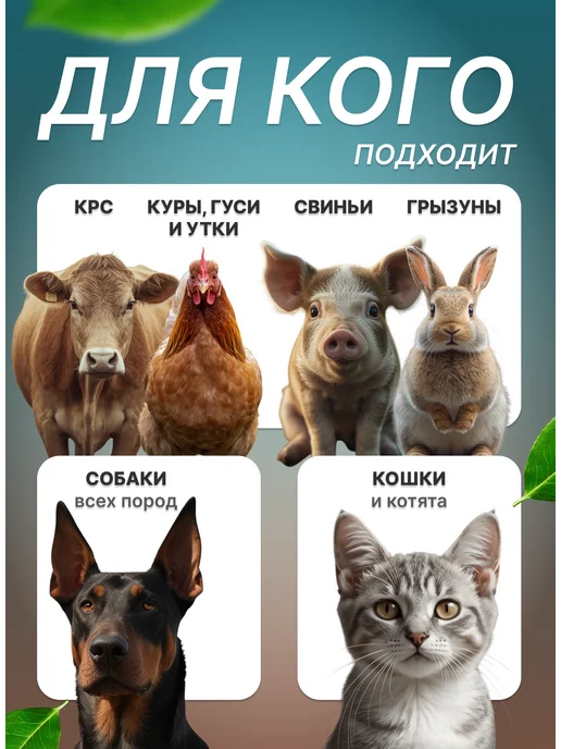 Рыбная мука для куриц 58% и др животных 10 кг, 10 кг, фото 3