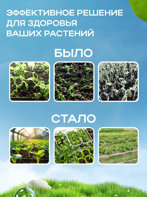 Зеленая Аптека Садовода Атлет для рассады, 5 шт, 5 шт, фото 5