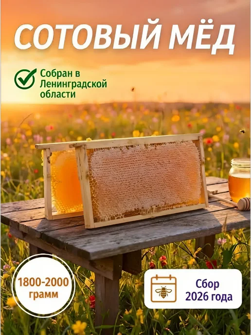 Сотовый мёд 2026 года, вариант