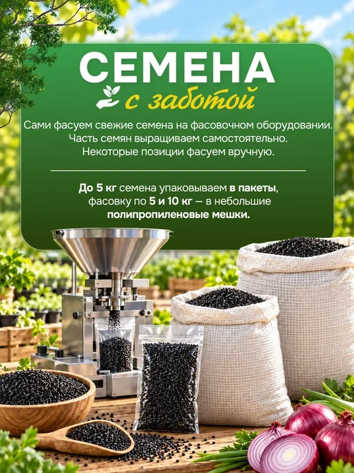 семена Белый клевер 1 кг, 1 кг, фото 3