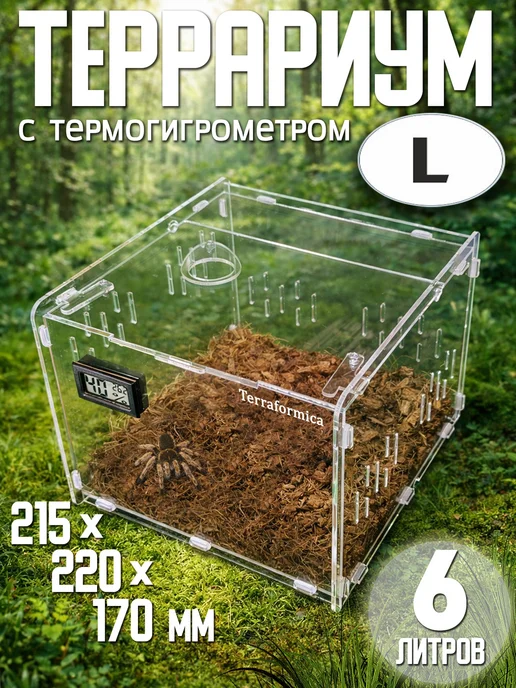 TERRAFORMICA RoomBox Mini террариум на 6 литров для пауков, насекомых, белый
