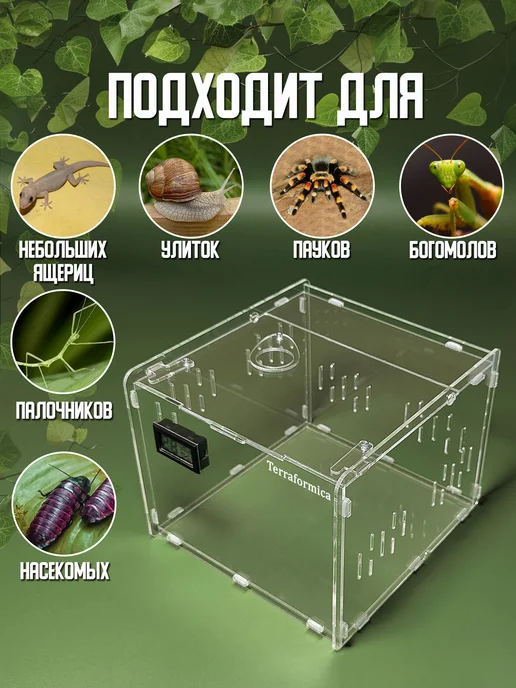 TERRAFORMICA RoomBox Mini террариум на 6 литров для пауков, насекомых, белый, фото 3