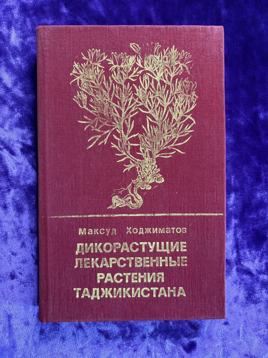 Дикорастущие лекарственные растения Таджикистана