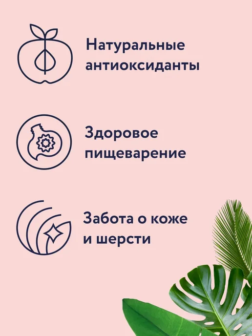 Сухой корм Florida. Кошек Грушей для собак, ягненок, 12 кг, фото 2