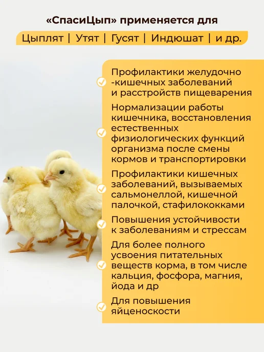 БашИнком СпасиЦып кормовая добавка для цыплят и бройлеров 100 мл, 100 мл, фото 3