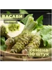 Горчица (сорт васаби), семена для выращивания 10 штук Нет бренда 599349742 купить за 301 ₽ в интернет‑магазине Wildberries