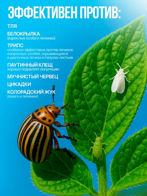 Агробиохимическая лаборатория Удобрение весенее от вредителей и насекомых, вариант, фото 2
