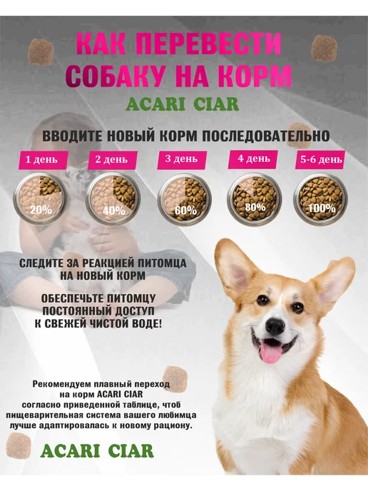 Сухой корм acari ciar Aurora Медиум для собак, говядина, рыба, 3,5 кг, фото 2