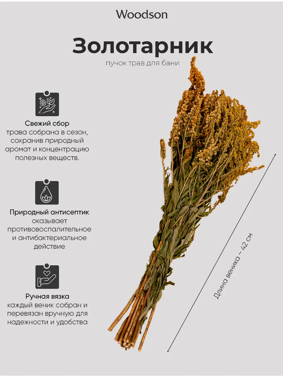 Веник для бани из золотарника, трава-запарник сухоцвет