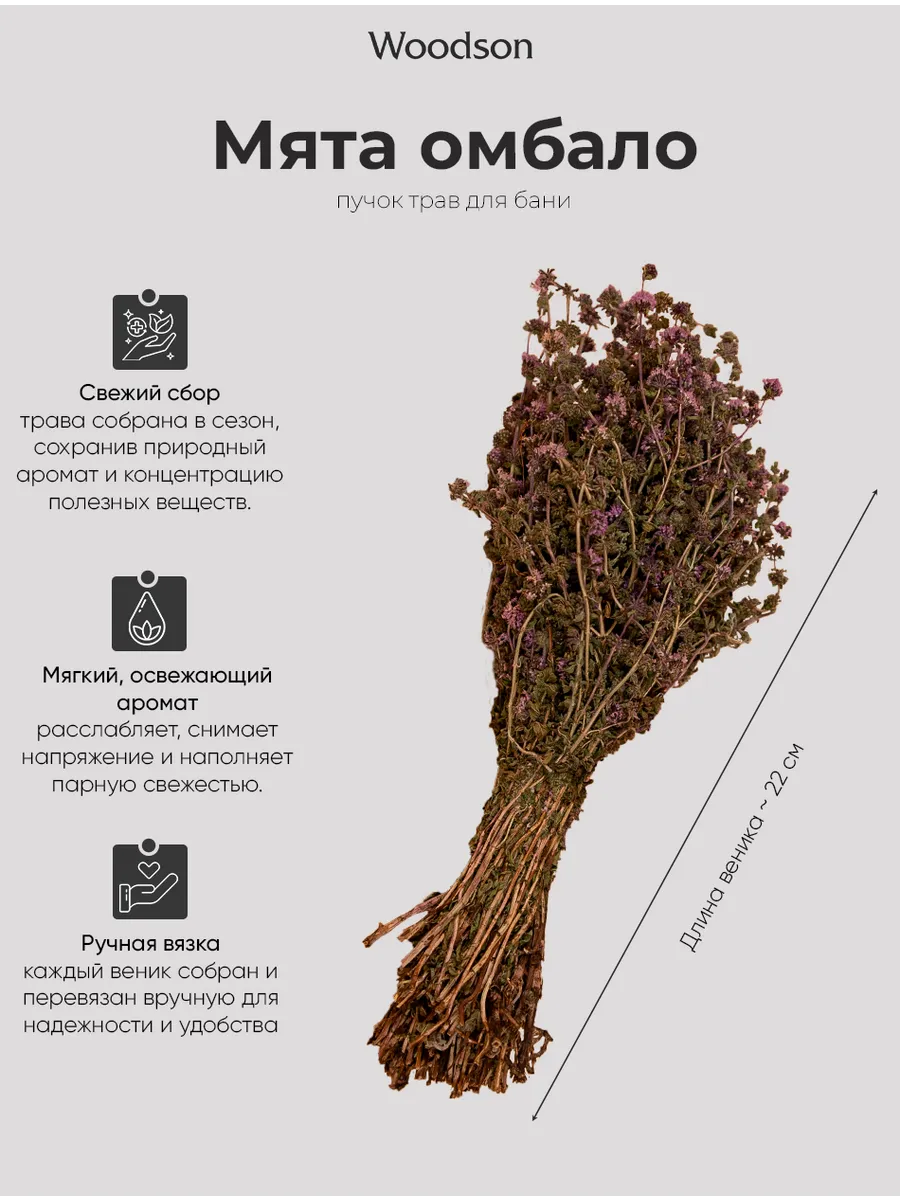 Веник для бани из мяты омбало, трава-запарник сухоцвет