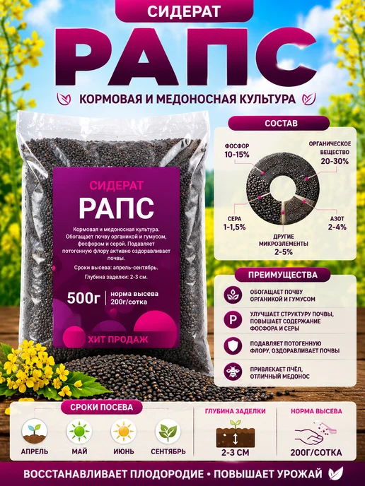 Зеленая Русь Семена сидераты Рапс яровой 0,5 кг, 500 г, фото 2