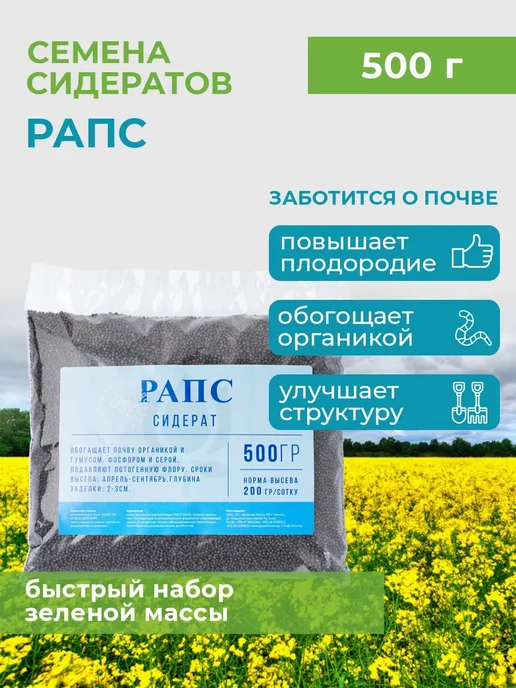 Зеленая Русь Семена сидераты Рапс яровой 0,5 кг, 500 г, фото 3