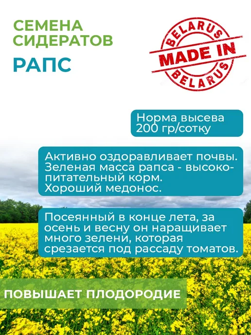 Зеленая Русь Семена сидераты Рапс яровой 0,5 кг, 500 г, фото 4