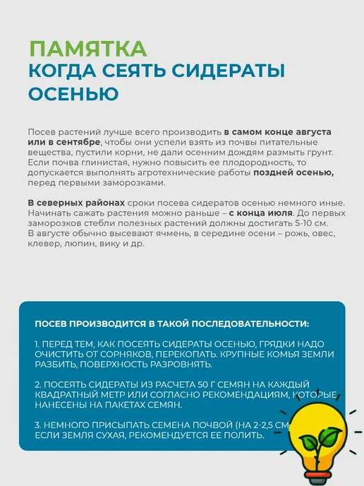 Зеленая Русь Семена сидераты Рапс яровой 0,5 кг, 500 г, фото 7