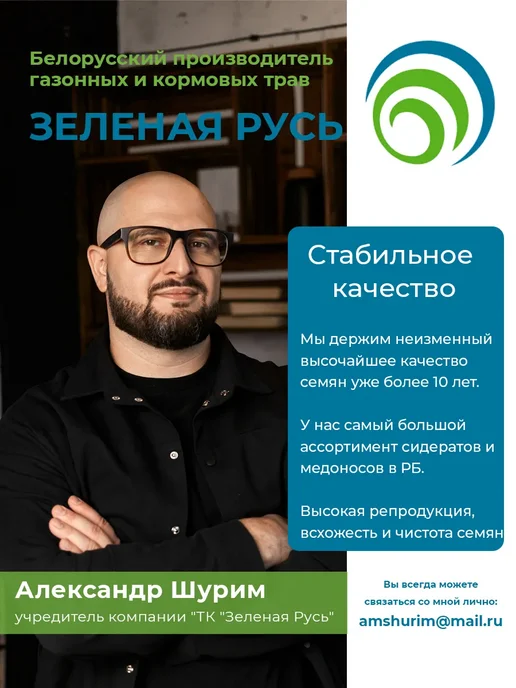 Зеленая Русь Семена сидераты Рапс яровой 0,5 кг, 500 г, фото 8