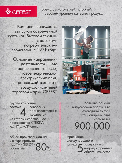 GEFEST Газовая плита с духовкой для кухни ПГ 5100-0017 4 конфорки, белый, фото 8