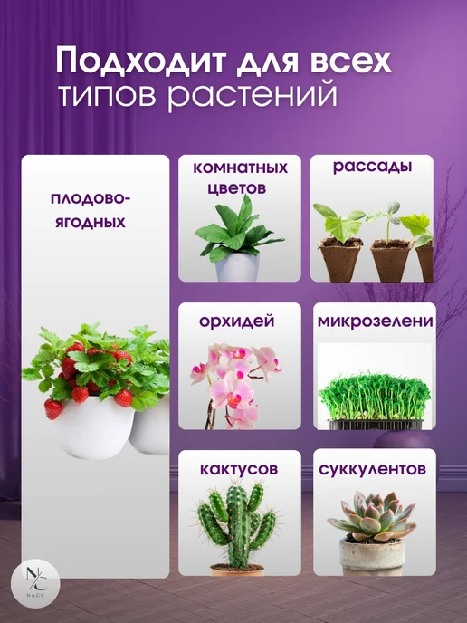 фитолампа для растений, вариант, фото 3