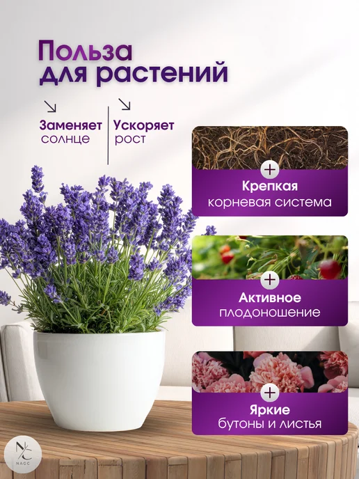 фитолампа для растений, вариант, фото 4