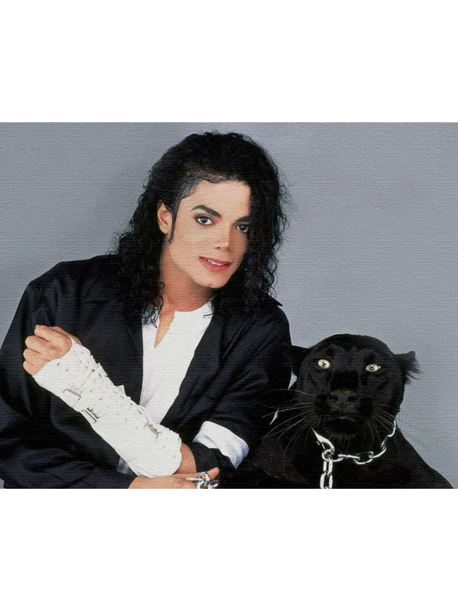 michael jackson and prince in black and white gordon ramsay net worth