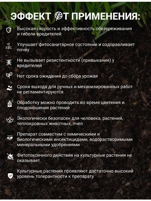 Экодачник Биоинсектецид Боверихелп 60 г, 60 г, фото 2