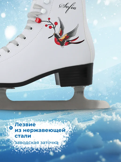 Nordway Коньки фигурные женские, белый, фото 4