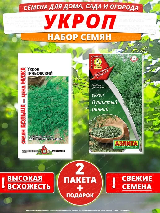 Семена укроп для дома сада посадки, вариант