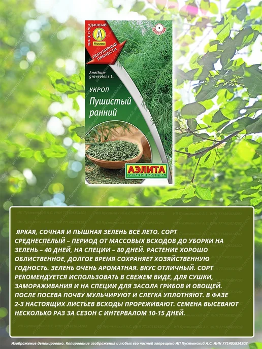 Семена укроп для дома сада посадки, вариант, фото 3