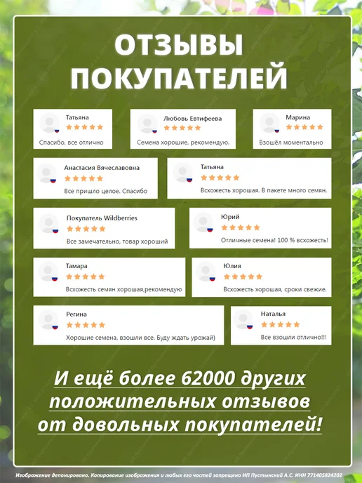 Семена укроп для дома сада посадки, вариант, фото 8