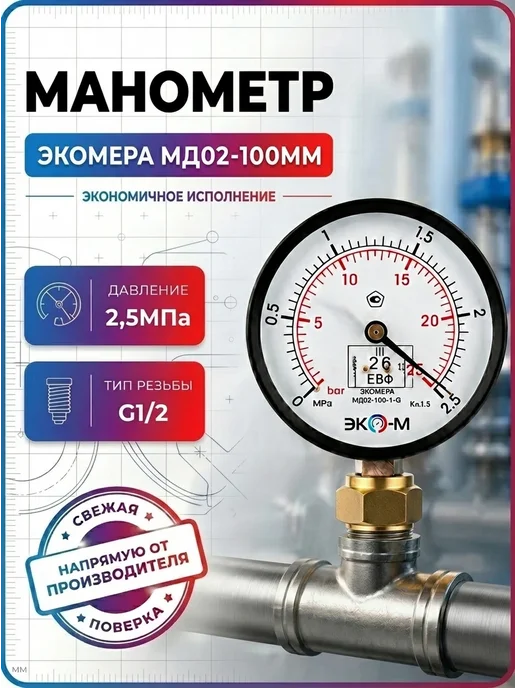 ЭКОМЕРА Манометр общетехнический 100мм 0.2,5 МПа G1 2, черный