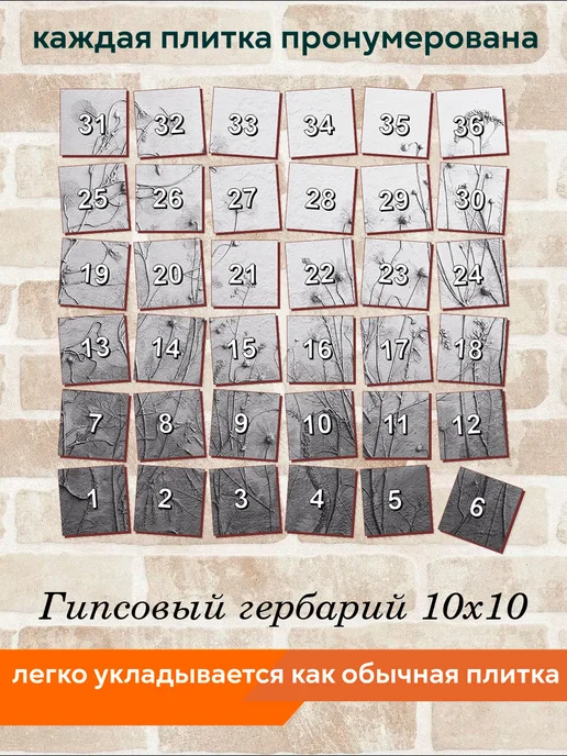 fres-co Панно из керамической плитки Гипсовый гербарий 10х10, 10x10, фото 6