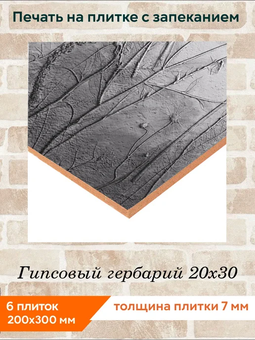 fres-co Панно из керамической плитки Гипсовый гербарий 10х10, 20x30, фото 2