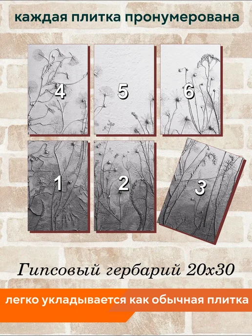 fres-co Панно из керамической плитки Гипсовый гербарий 10х10, 20x30, фото 4