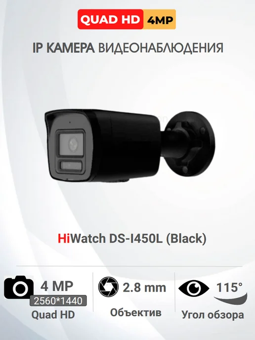 HiWatch DS-I450L, IP Камера (Black), черный
