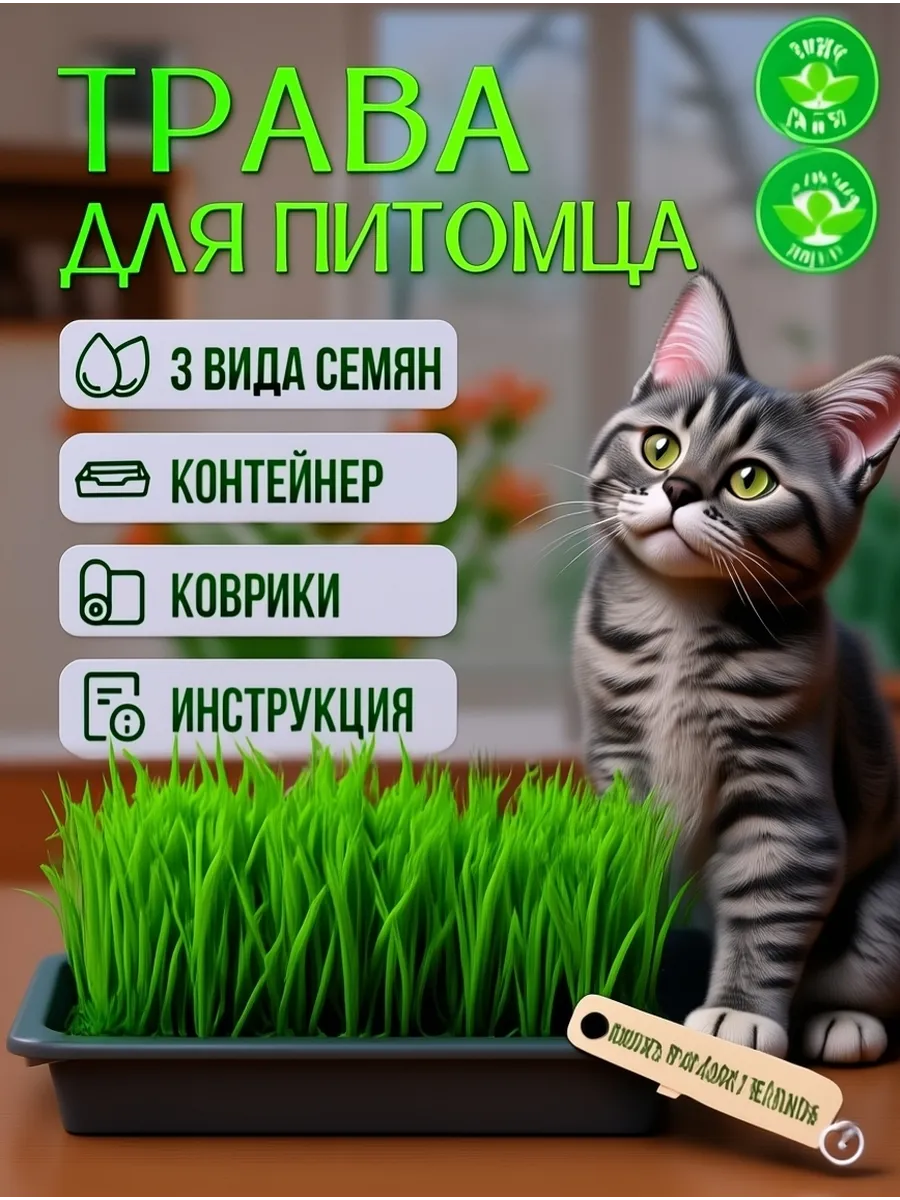 Трава для кошек. Для домашних животных набор
