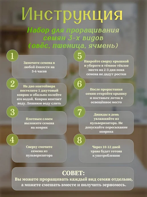 Трава для кошек. Для домашних животных набор, вариант, фото 2