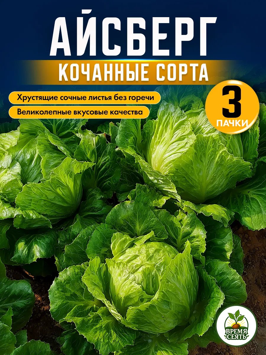 Семена салат айсберг кочанный