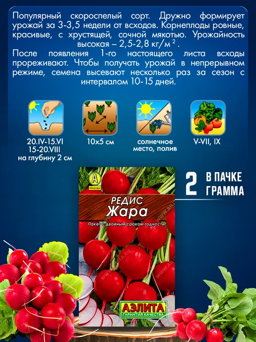 Агрофирма АЭЛИТА Семена редиса укропа салата и шпината, зеленый, фото 5