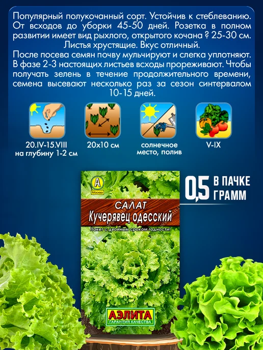 Агрофирма АЭЛИТА Семена редиса укропа салата и шпината, зеленый, фото 7