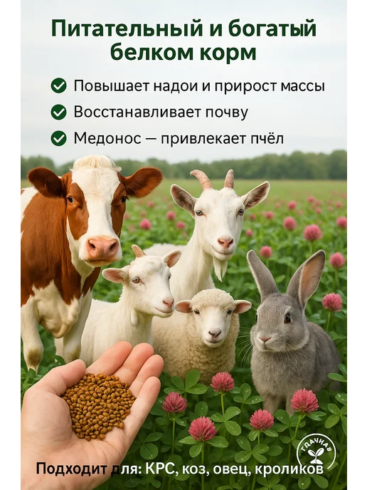 Клевер красный семена 5 кг, 3 кг, фото 2