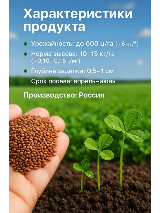 Клевер красный семена 5 кг, 3 кг, фото 3