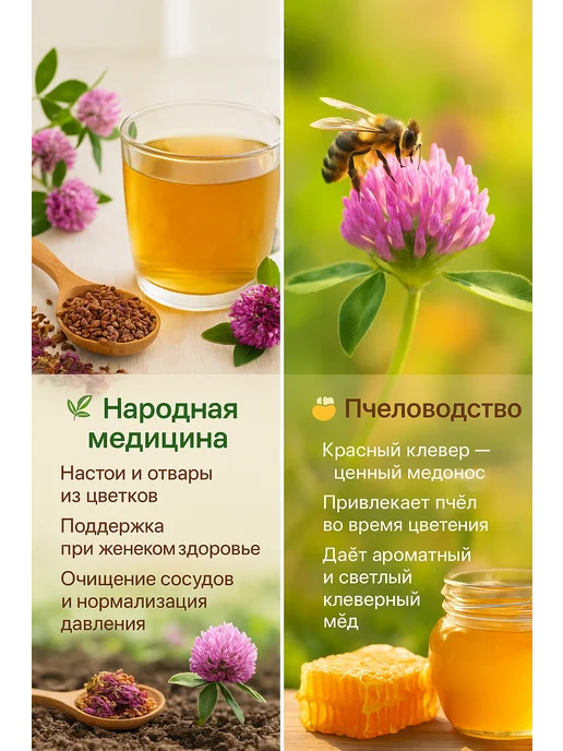 Клевер красный семена 5 кг, 4 кг, фото 4